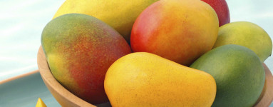 Mango in njegove prednosti pri uživanju. 2.del